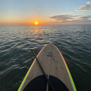 男女生双排视频网站
